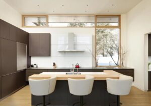 sleek kitchen designs