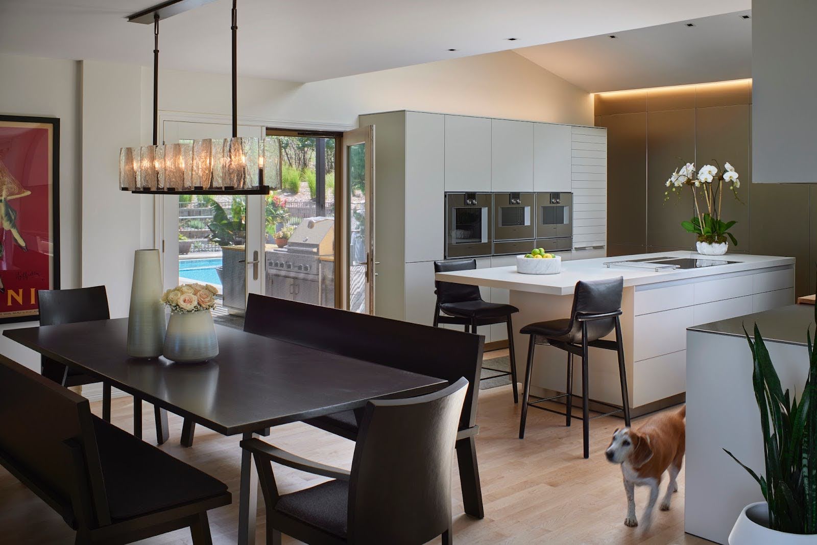 create a pet-friendly kitchen create a pet-friendly kitchen